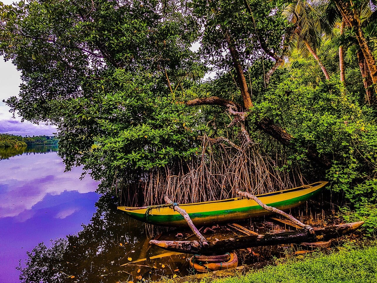 Dodanduwa